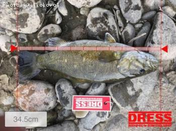 �֥�å��Х�