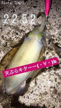 �����ꥤ��