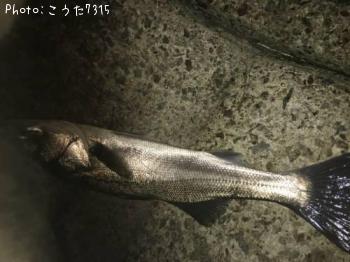 �����Х�