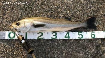 �����Х�