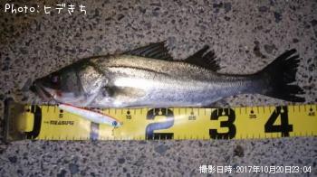 �����Х�