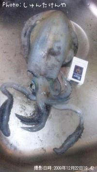 ¥¢¥ª¥ê¥¤¥«