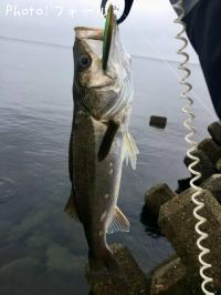 �����Х�