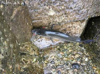 �����Х�