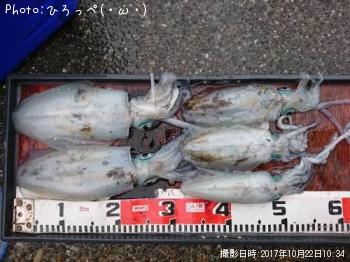 �����ꥤ��