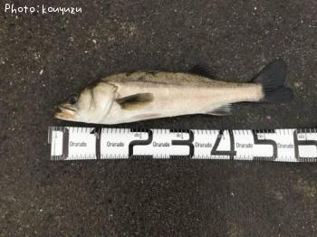 �����Х�