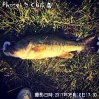 �֥�å��Х�