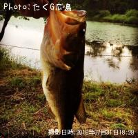 �֥�å��Х�