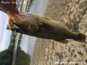 ¥Ö¥é¥Ã¥¯¥Ð¥¹