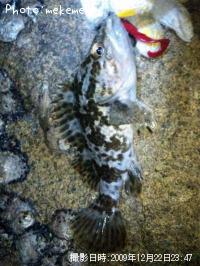 ¥¿¥±¥Î¥³¥á¥Ð¥ë