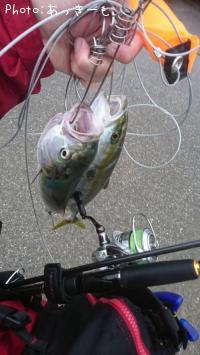 ¥¤¥Ê¥À