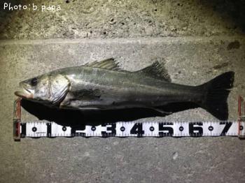 �����Х�