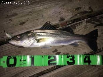 �����Х�