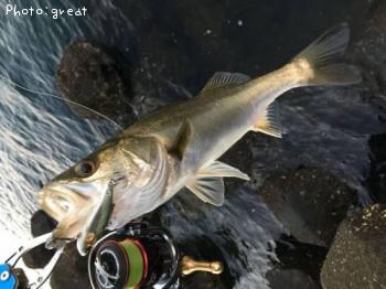 �����Х�