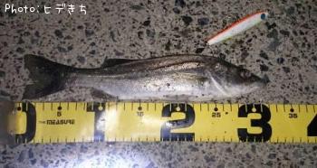 �����Х�