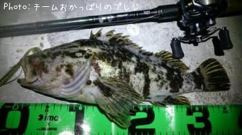 ¥¿¥±¥Î¥³¥á¥Ð¥ë