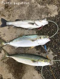 �����Х������ʥ�