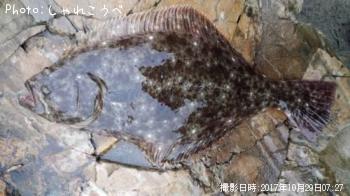 �ҥ��ȥ��ޥ�