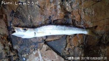 �ҥ��ȥ��ޥ�