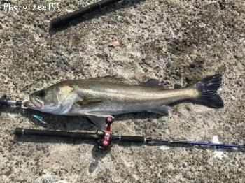 �����Х�