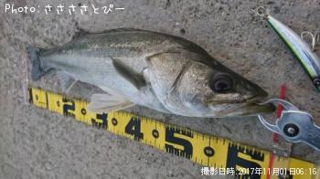 �����Х�