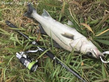 �����Х�