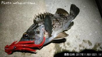 ��������