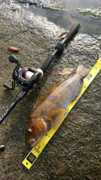 �����ʥ�