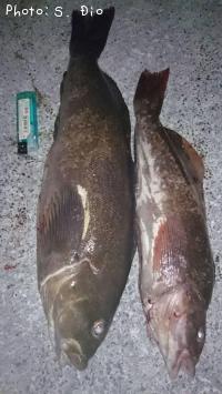 �����ʥ�