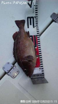 ������Х�