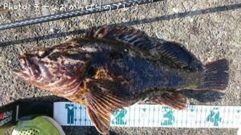 ¥¿¥±¥Î¥³¥á¥Ð¥ë