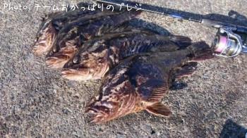 �����Υ���Х�