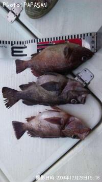 ������Х�