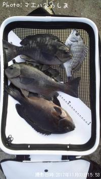 ¥°¥ì¡¡·ë²Ì