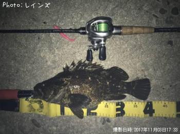 �����Υ���Х�