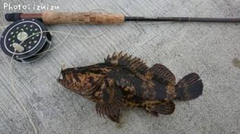 �٥å�������