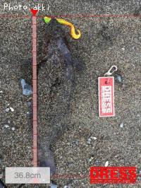 �����ʥ�