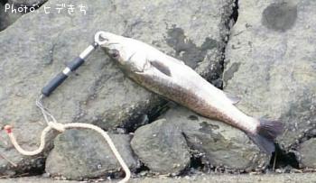 �����Х�