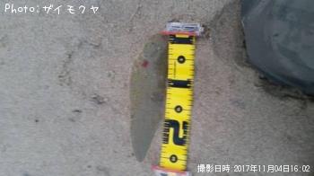 �����ӥ��