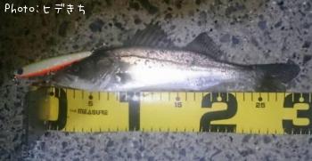 �����Х�