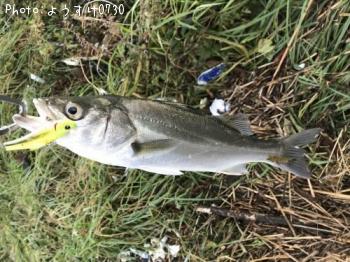 �����Х�