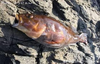 �����ʥ�