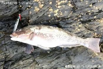 �����ʥ�