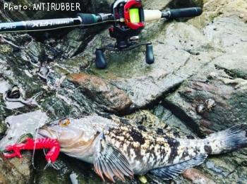 �����ʥ�