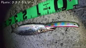 ���ޥ�