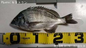 ������