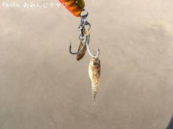 ¥Þ¥´¥Á¤ÎÀÖ¤Á¤ã¤ó