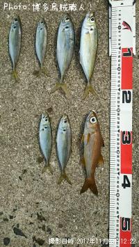 ��ġ�����