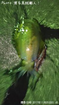 �����ꥤ��