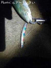 �֥�å��ʥͥ���